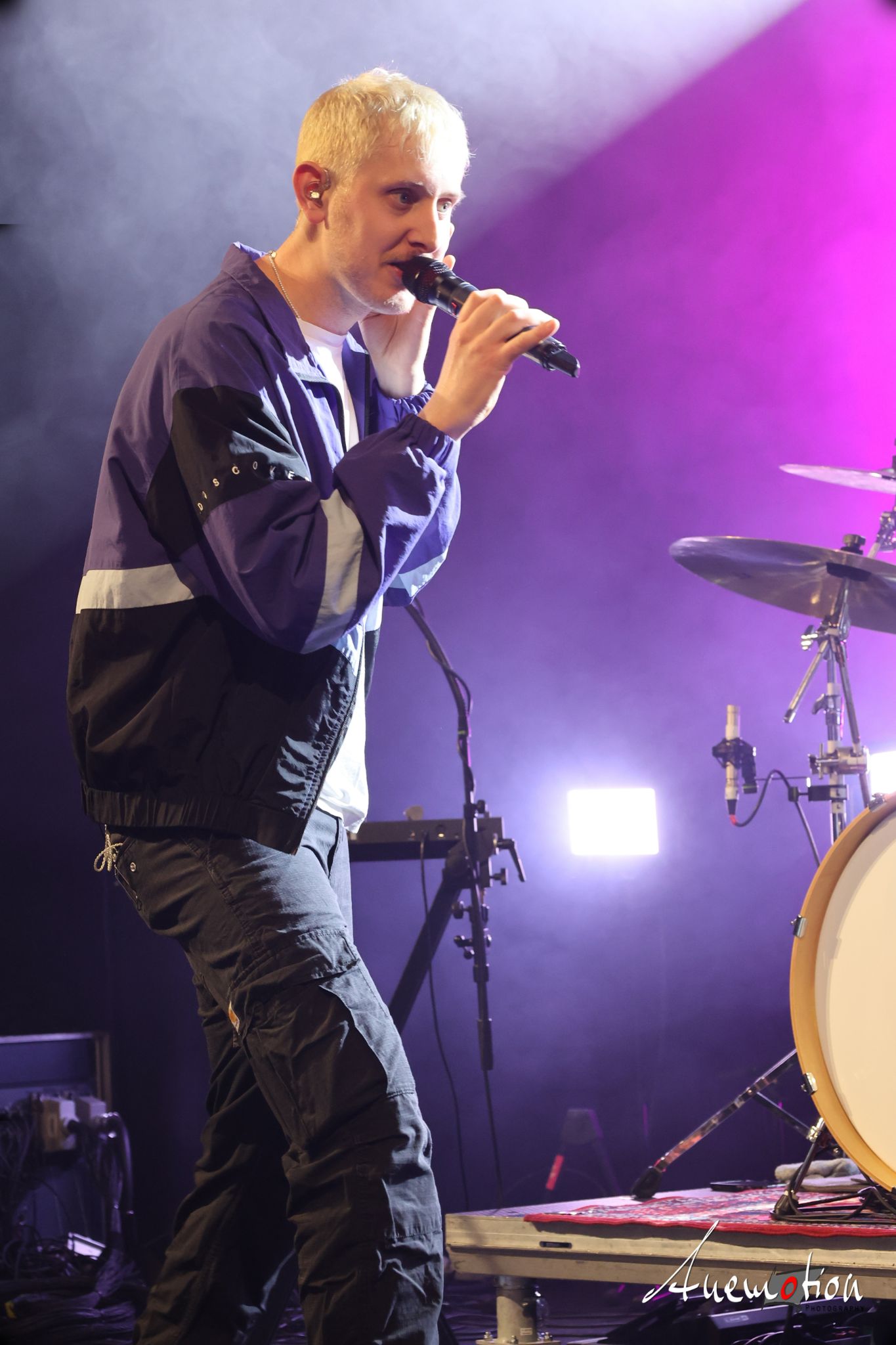 ElephantsFalling (85)